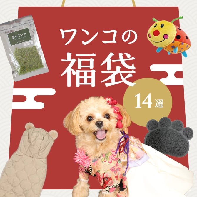 人気の犬用福袋特集TOP14