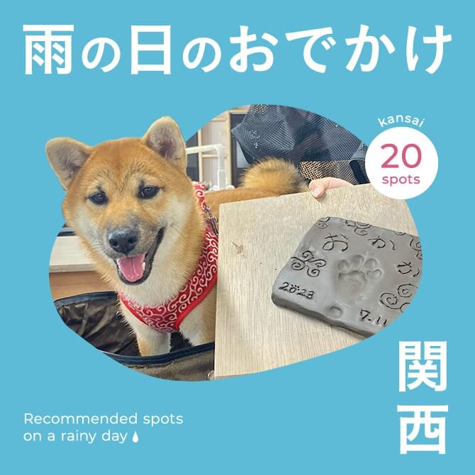 【関西】雨の日でも楽しめる愛犬と行ける観光スポット・施設