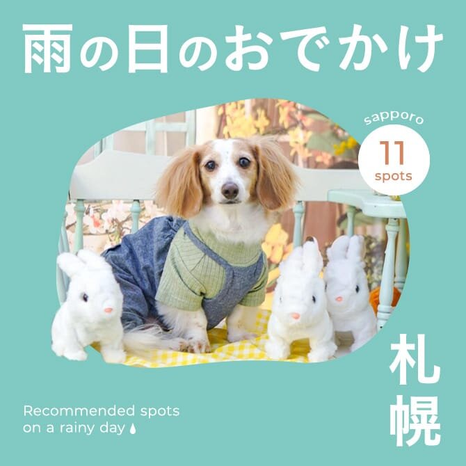 【北海道・札幌お出かけスポット】雨の日でも楽しめる愛犬と行ける施設
