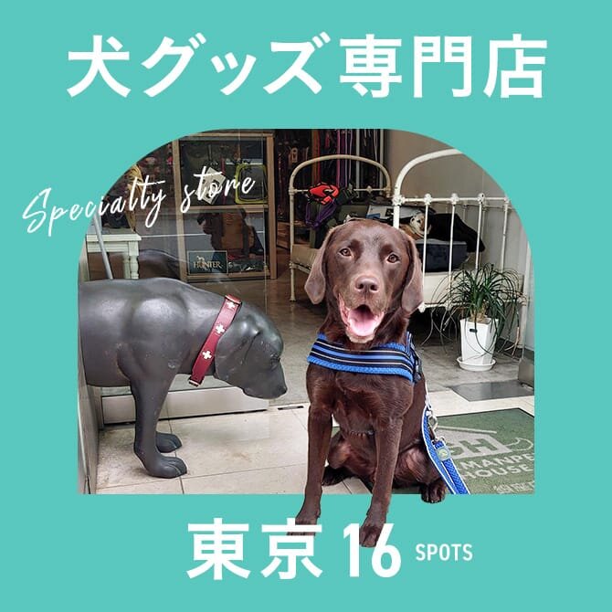 東京のおしゃれな犬グッズ専門店16選