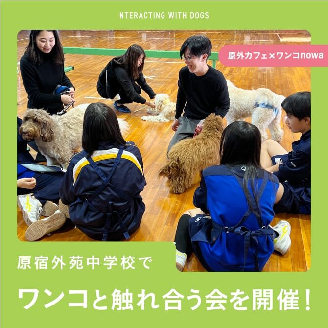 【原外カフェ×ワンコnowaコラボ】原宿外苑中学校で犬と触れ合う会を開催しました。