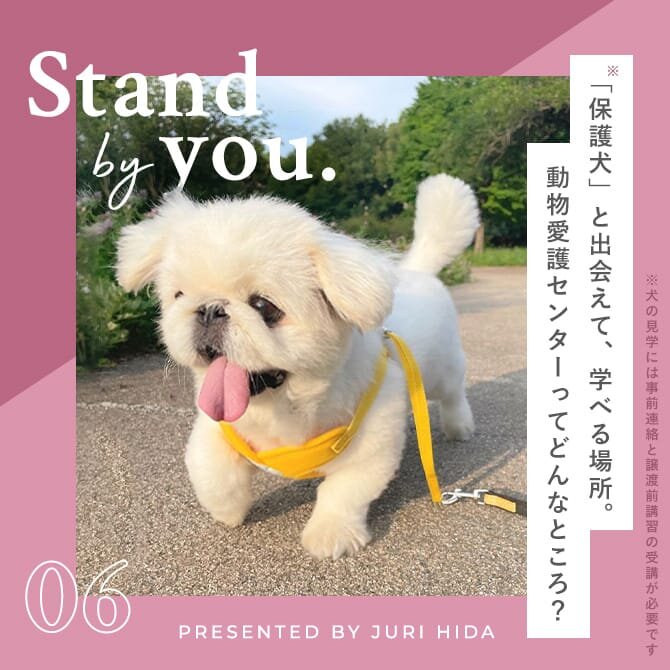 【埼玉で保護犬に出会える場所】動物愛護も学べる「さいたま市動物愛護ふれあいセンター」に訪問してきました