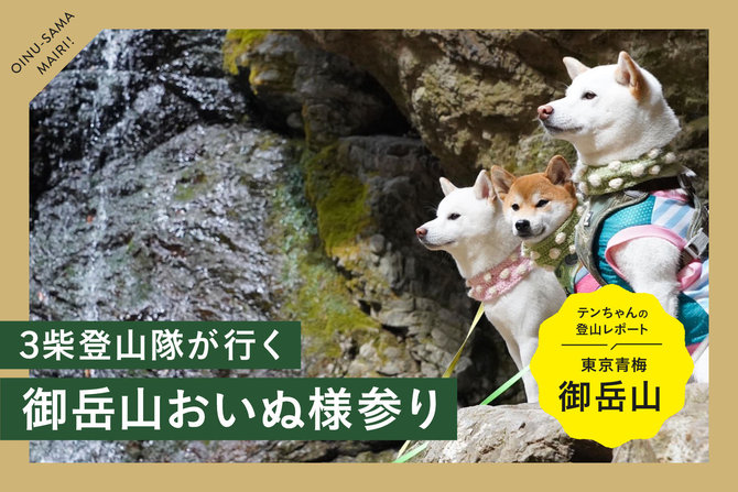 犬と登山（東京青梅）｜3柴登山隊が行く御岳山