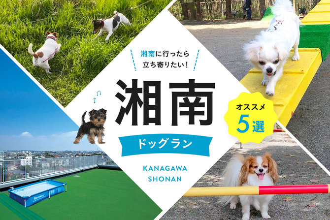 【湘南ドッグラン】木村植物園など、湘南で人気のドッグラン5選！