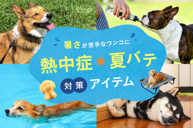 愛犬の熱中症・夏バテ対策におすすめアイテム・グッズをご紹介！