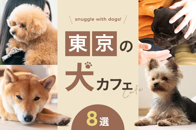 犬カフェ5選 東京で人気の犬カフェ 保護犬がいるカフェも