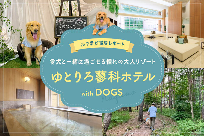 【ゆとりろ蓼科ホテルwith DOGS】ルウくんの蓼科の愛犬と泊まれる宿レポート