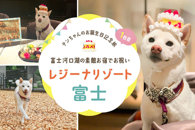 【レジーナリゾート富士 Suites&Spa】素敵お宿で祝う愛犬の誕生日！