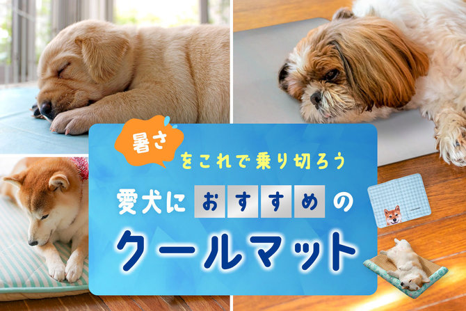 【犬用クールマット】愛犬におすすめのクールマット・ひんやりマットで暑さ対策！