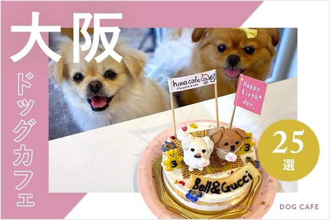 【ドッグカフェ大阪】大阪でおすすめのドッグカフェ・愛犬同伴OKのカフェ16選！
