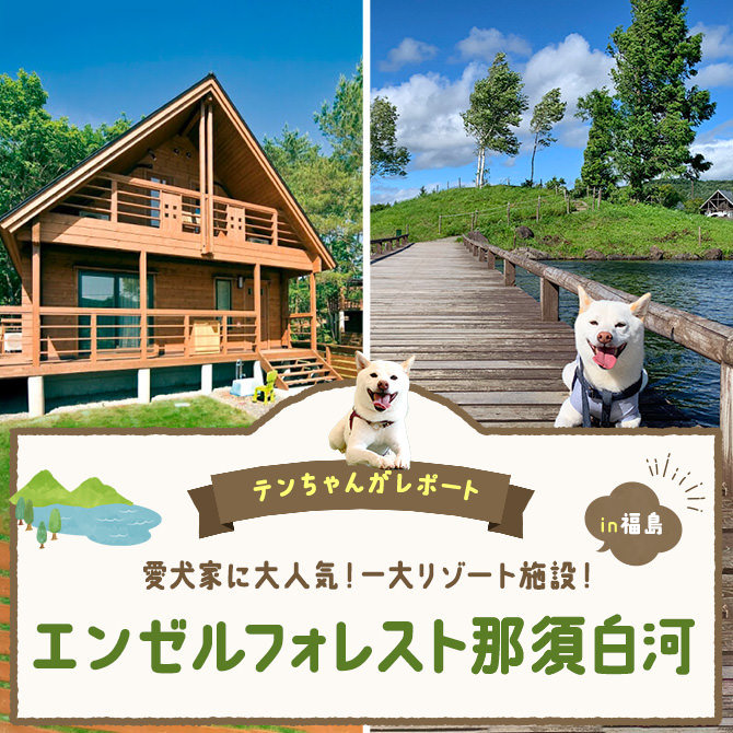 【エンゼルフォレスト那須白河（福島県）】愛犬と行けるワンコ家族のための一大リゾート施設！
