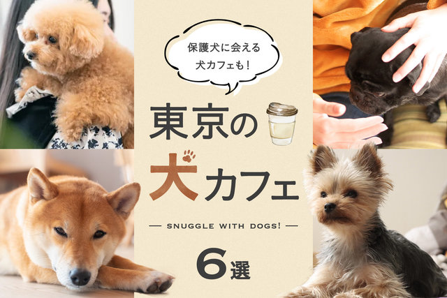 犬カフェ6選 東京で人気の犬カフェ 保護犬がいるカフェも