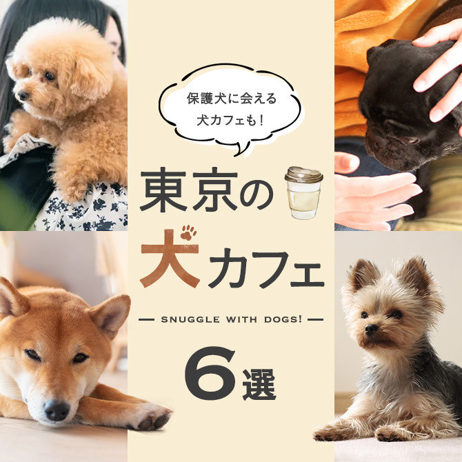 【犬カフェ6選】東京で人気の犬カフェ。保護犬がいるカフェも！