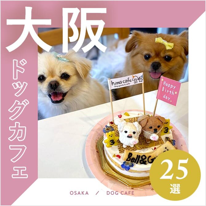 【大阪ドッグカフェ25選】犬と行ける人気のおすすめカフェ｜2024年版
