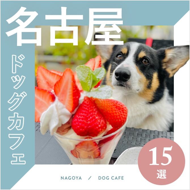【名古屋ドッグカフェ15選】愛犬店内同伴OKも！名古屋で人気ドッグカフェ｜2023年版