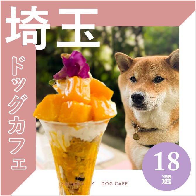 【ドッグカフェ埼玉】埼玉でおすすめのドッグカフェ・愛犬同伴OKのカフェ11選！