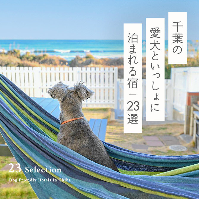 【千葉の愛犬と泊まれる宿】2022年編集部おすすめの犬と泊まれる宿12選