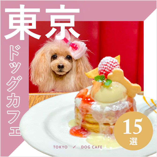【東京都内 ドッグカフェ12選】愛犬同伴・店内OKの都内ドッグカフェ｜2023年版