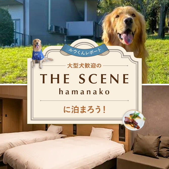 【愛犬と泊まれる浜名湖のホテル】大型犬歓迎のラグジュアリーホテル「THE SCENE hamanako」