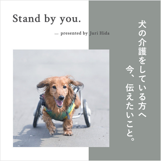 愛犬を介護している方へ。愛犬の介護を経験した今、伝えられること｜stand by you vol.01