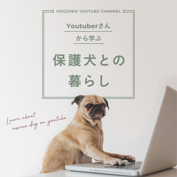【保護犬youtubeチャンネル】リマちゃんやアッチャンから、保護犬との暮らしについて学ぼう