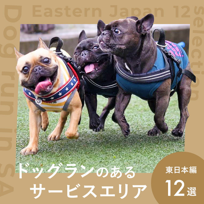 【ドッグランのあるサービスエリア】東日本エリア12選！ドッグカフェや愛犬と楽しめるグルメ