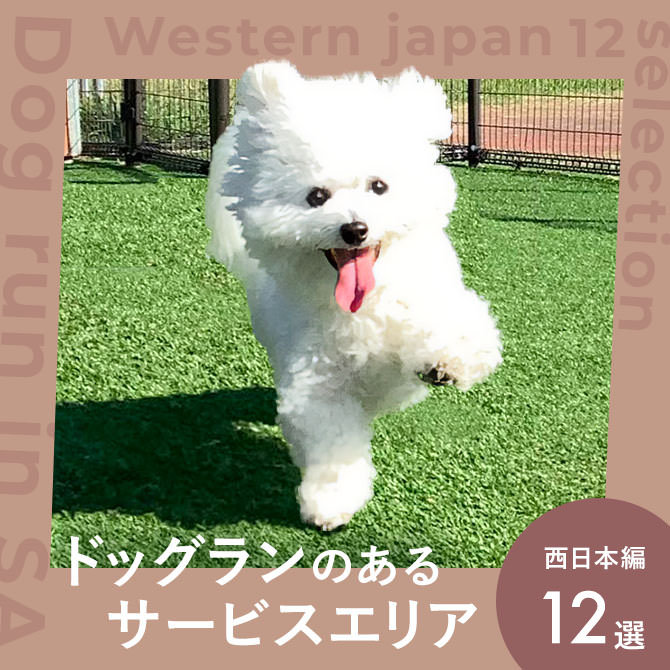 【ドッグランのあるサービスエリア】西日本エリア12選！ドッグカフェや愛犬と楽しめるグルメ