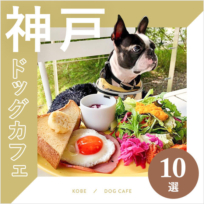【ドッグカフェ神戸】神戸のおすすめドッグカフェ10選！愛犬同伴OK！