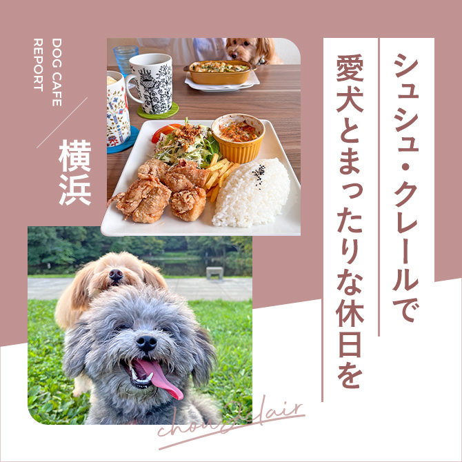 【シュシュ・クレール（chou2 clair）】愛犬店内OKの横浜のドッグカフェ！センター南駅近く