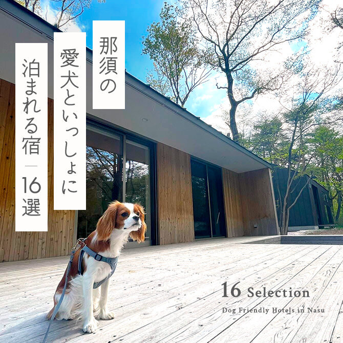 【犬と泊まれる宿 那須16選】那須で人気のペットと泊まれる宿｜2023年版