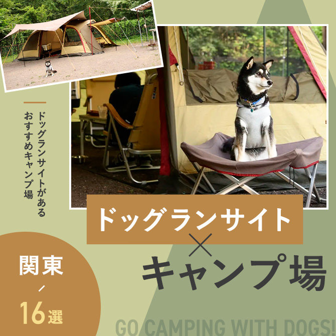 【ドッグフリーサイトのあるキャンプ場 関東16選】ペット可・犬連れOK！