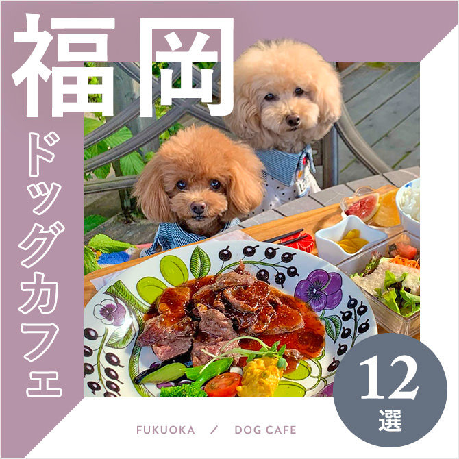 【ドッグカフェ福岡】福岡でおすすめのドッグカフェ12選！愛犬同伴OK！