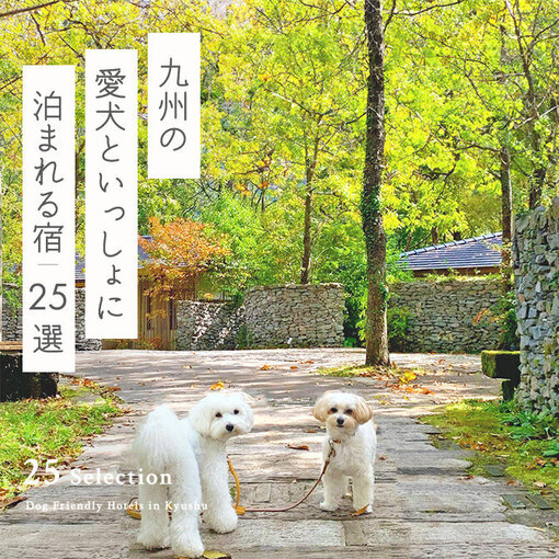 【九州の犬と泊まれる宿25選】九州で人気のペットと泊まれる温泉宿｜2024年最新