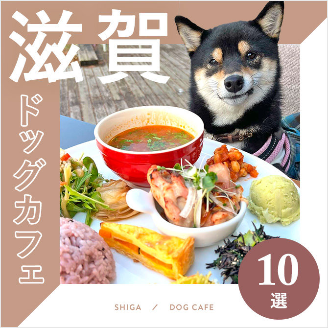 【ドッグカフェ滋賀】滋賀のおすすめドッグカフェ10選！愛犬同伴OK！