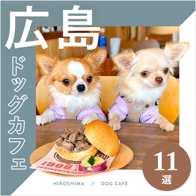 【ドッグカフェ広島】広島のおすすめドッグカフェ11選！愛犬同伴OK！