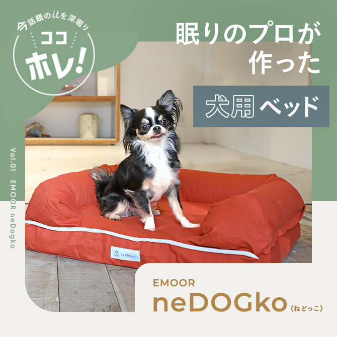 「犬用ベッドは年齢に合わせて選ぶ」を提案する眠りのプロが作った犬用ベッド neDOGko(ねどっこ)