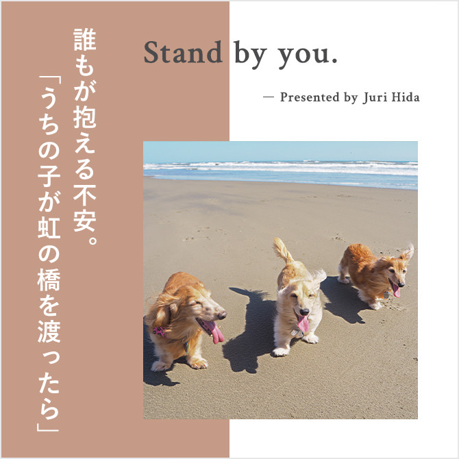 【ペットロス】いつかくる愛犬との別れに向き合う｜Stand by you vol.03