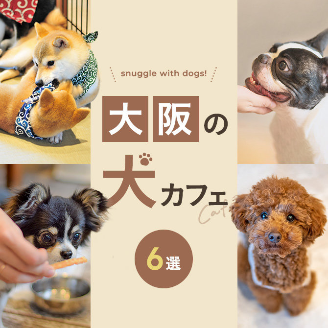 【大阪の犬と触れ合えるカフェ6選】大阪で人気の犬と触れ合える犬カフェ