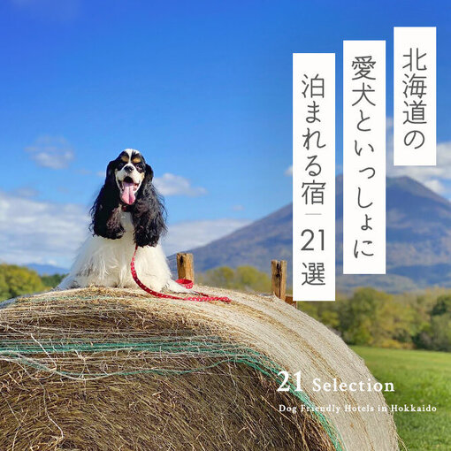 【北海道の犬と泊まれる宿21選】北海道のペットと泊まれる宿｜2024年最新