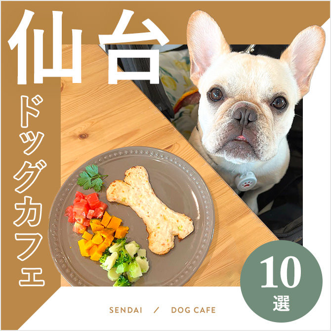 【ドッグカフェ仙台】仙台のおすすめドッグカフェ10選！愛犬同伴OK！
