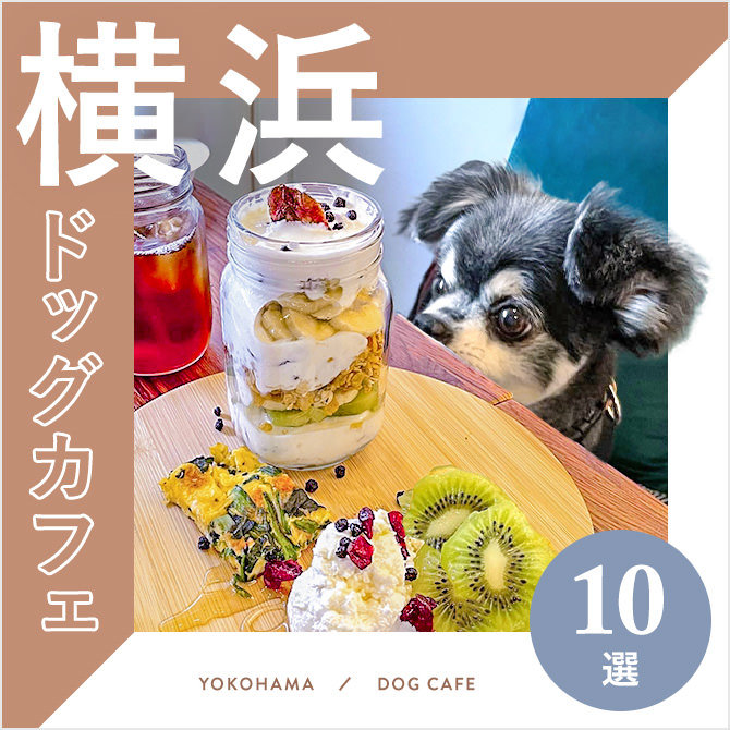 【横浜ドッグカフェ】横浜で人気のおすすめドッグカフェ10選！愛犬同伴OK！