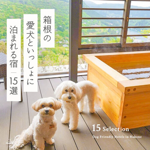 【箱根の犬と泊まれる宿15選】箱根で人気のペットと泊まれる宿｜2023年版