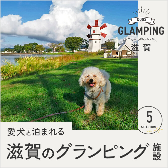 【滋賀】ドッググランピング滋賀高島など滋賀の犬連れOKグランピング施設5選