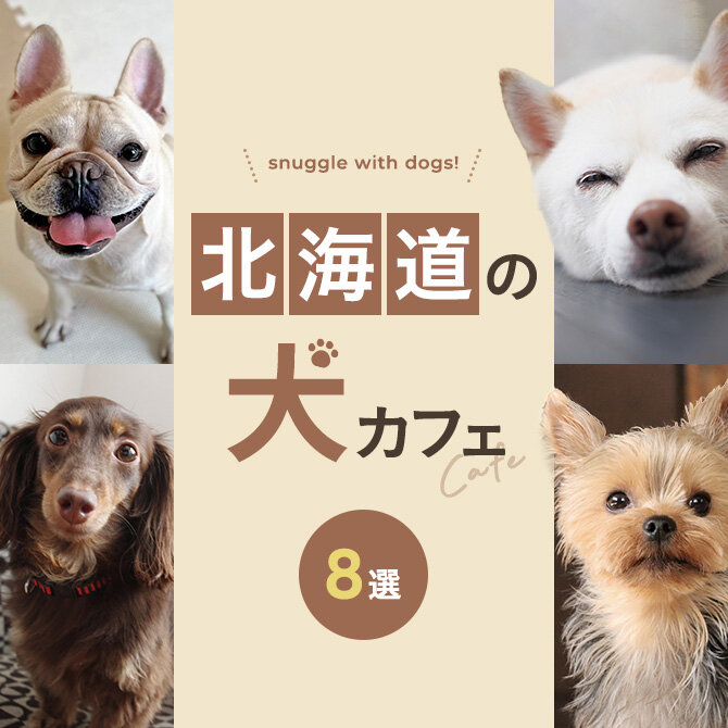 【北海道札幌の犬と触れ合えるカフェ8選】北海道札幌で人気の犬と触れ合える犬カフェ