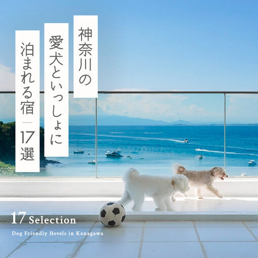 【神奈川の犬と泊まれる宿 17選】神奈川で人気のペットと泊まれる宿17選｜2023年度版