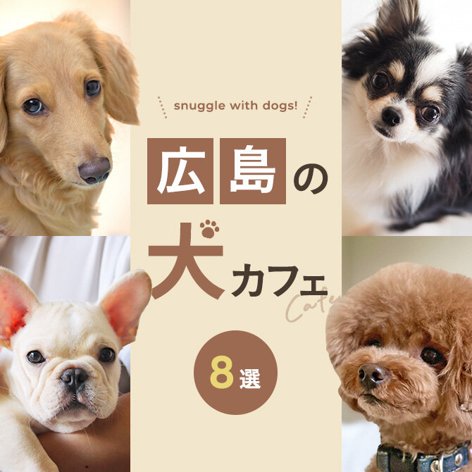 【広島の犬と触れ合えるカフェ8選】広島で人気の犬と触れ合える犬カフェ