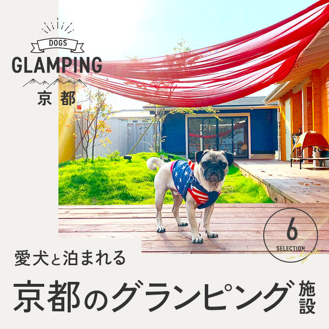 【京都】ドッググランピング京都天橋立など犬連れOKのグランピング施設6選