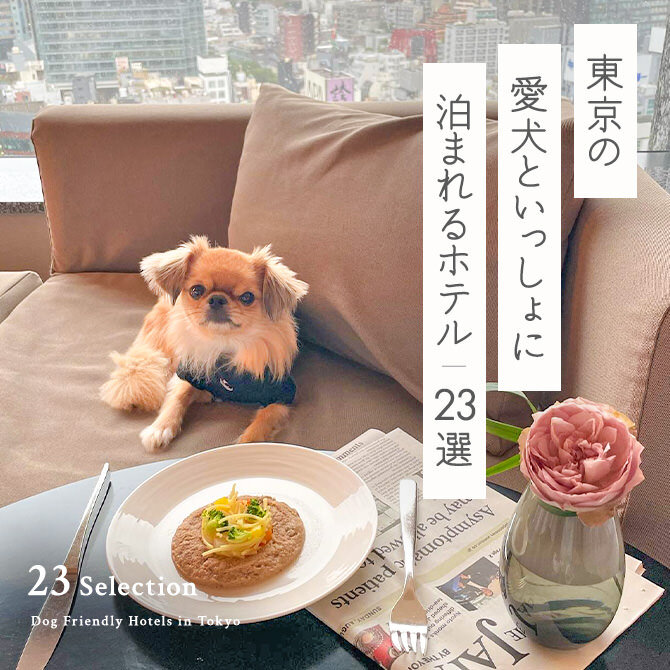 【東京の犬と泊まれるホテル23選】東京で人気のペットと泊まれるホテル｜2023年版