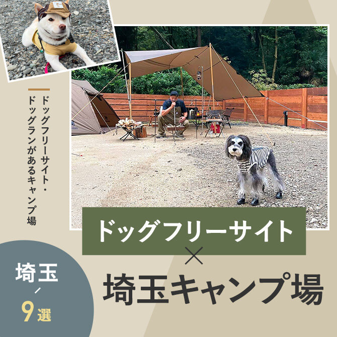 【ドッグフリーサイト・ドッグランのあるキャンプ場 埼玉9選】ペット可・犬連れOK！