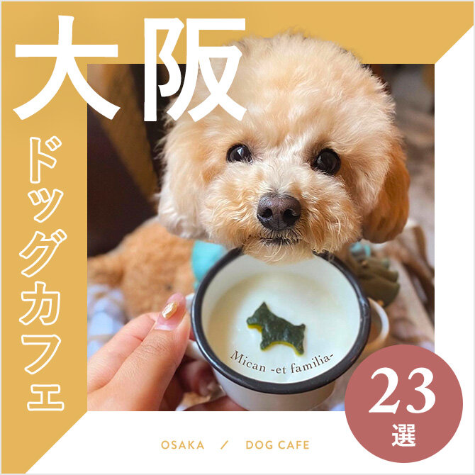 【大阪 ドッグカフェ23選】愛犬店内OKの人気ドッグカフェ！ドッグラン付も｜2023年版